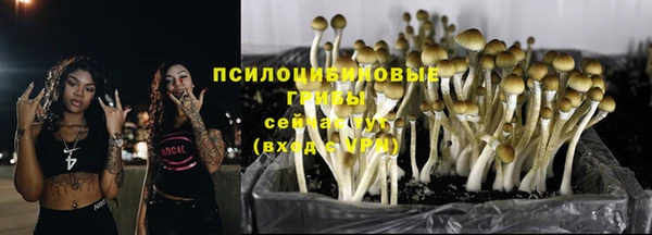 прущий лед Нея