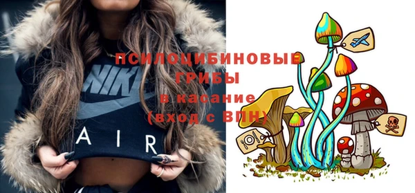 гидропоника Нефтегорск
