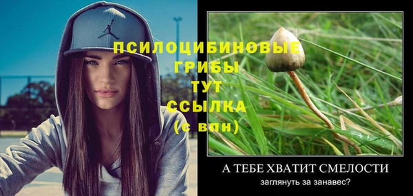 гидропоника Нефтегорск
