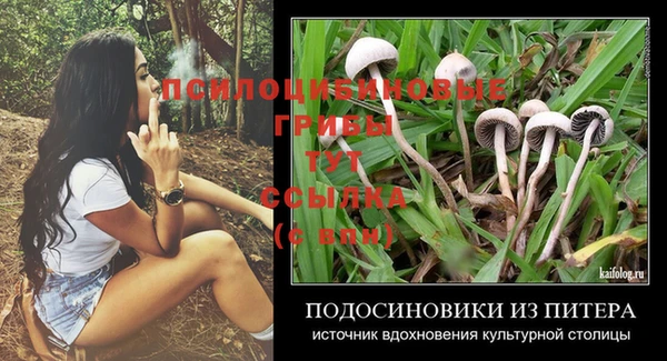 гидропоника Нефтегорск