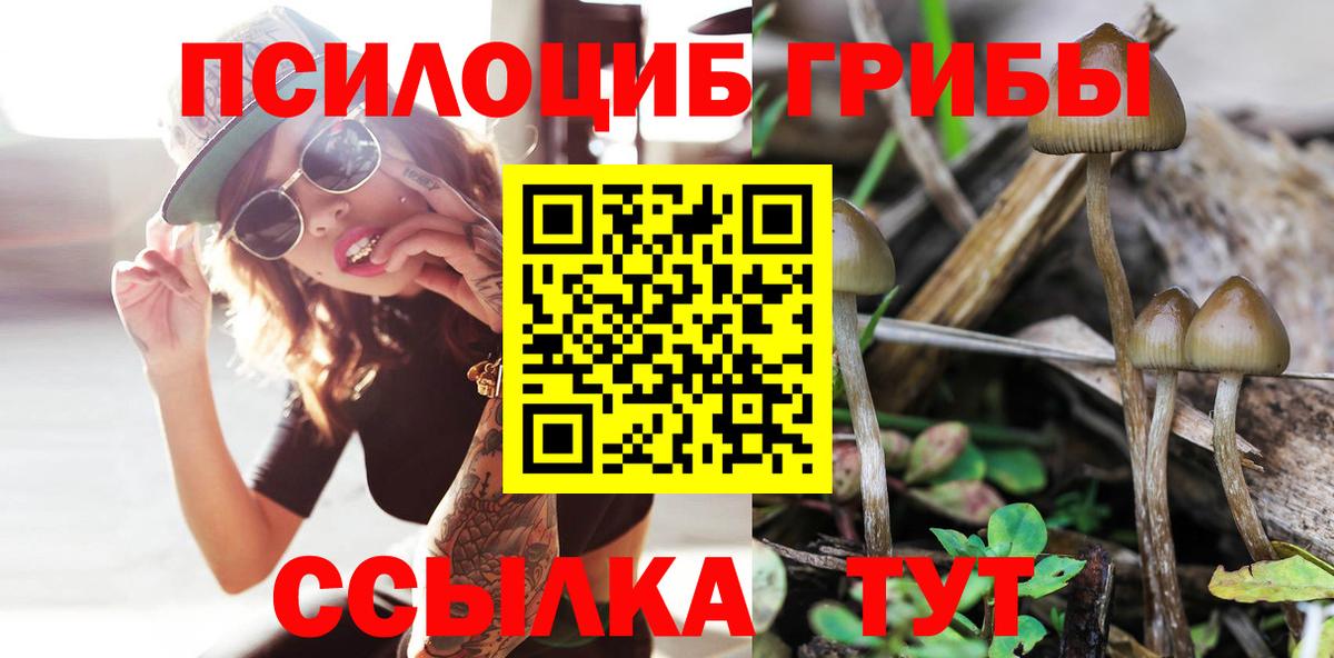 Псилоцибиновые грибы Magic Shrooms Краснодар