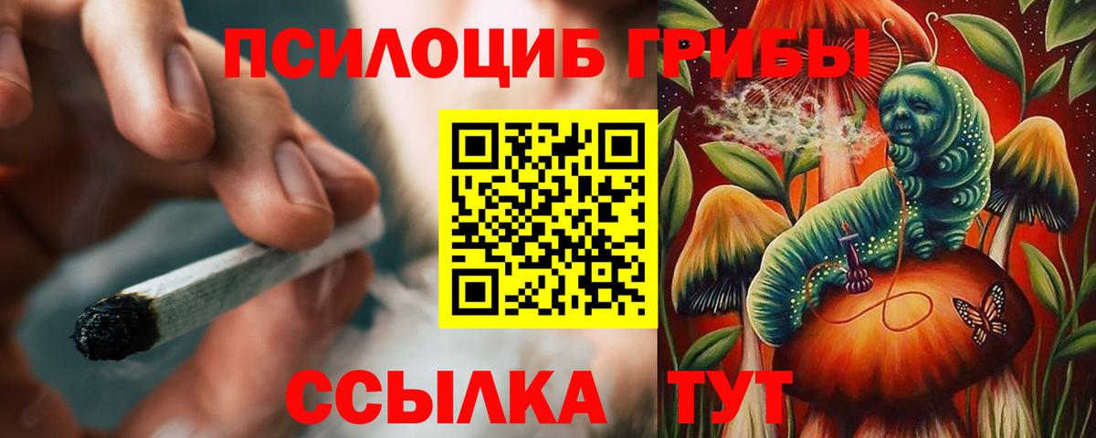 Псилоцибиновые грибы прущие грибы  купить закладку  Краснодар  Псилоцибиновые грибы ЛСД 
