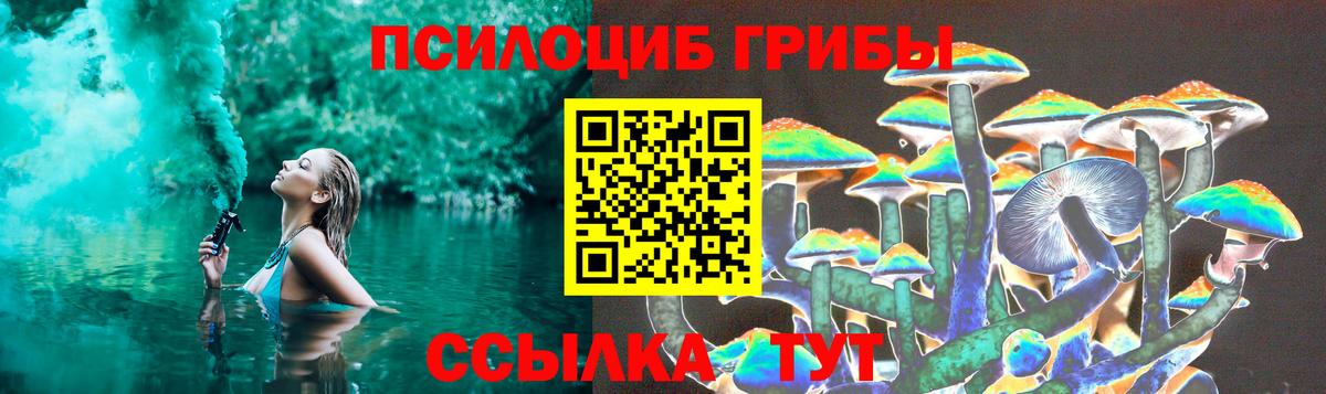 где можно купить наркотик  Вход с VPN  Краснодар  Псилоцибиновые грибы Psilocybine cubensis  Галлюциногенные грибы Psilocybine cubensis 